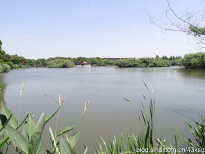 游走在沙家浜濕地公園 一次心靈的自然之旅